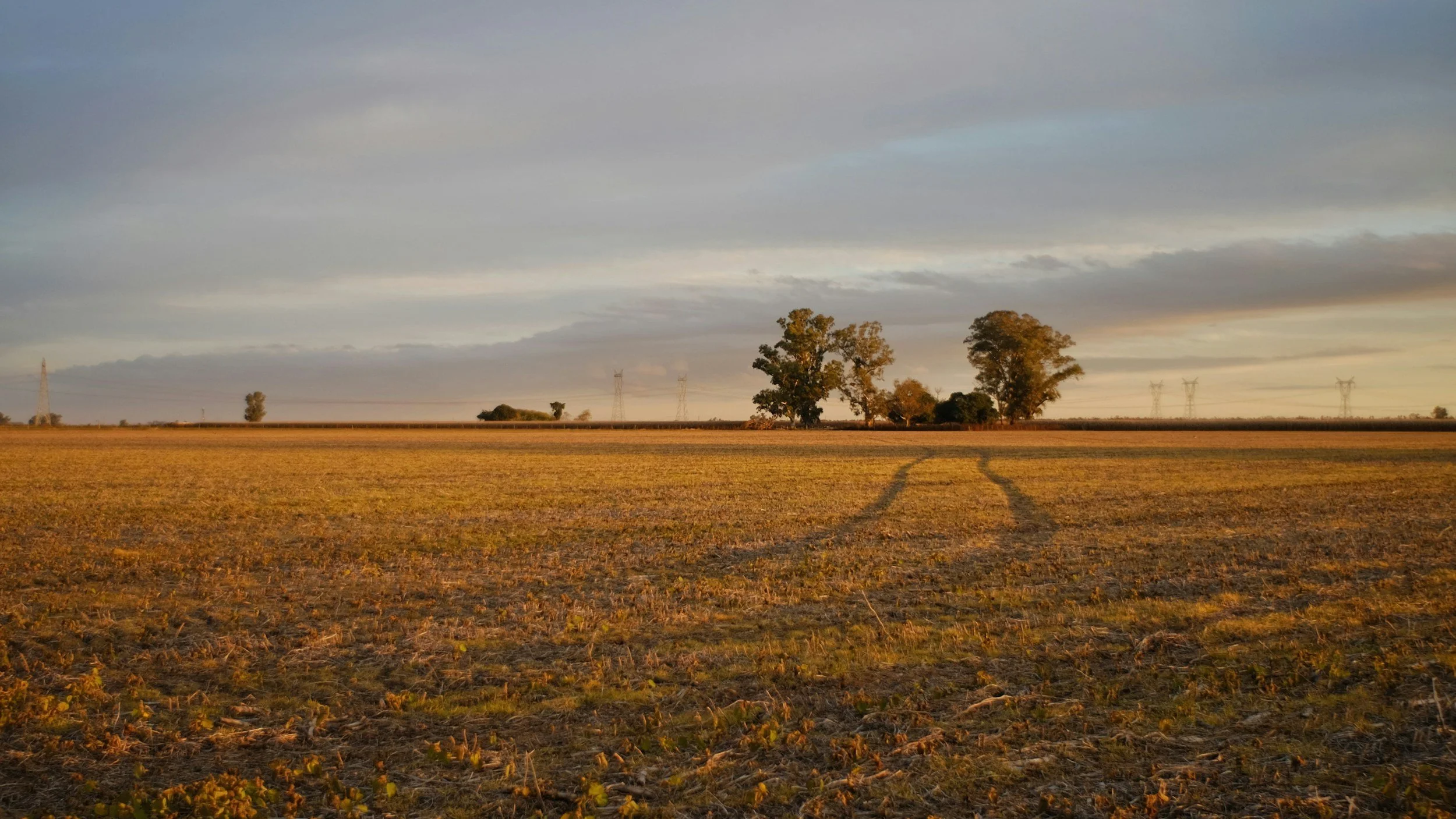 Bredon, 18