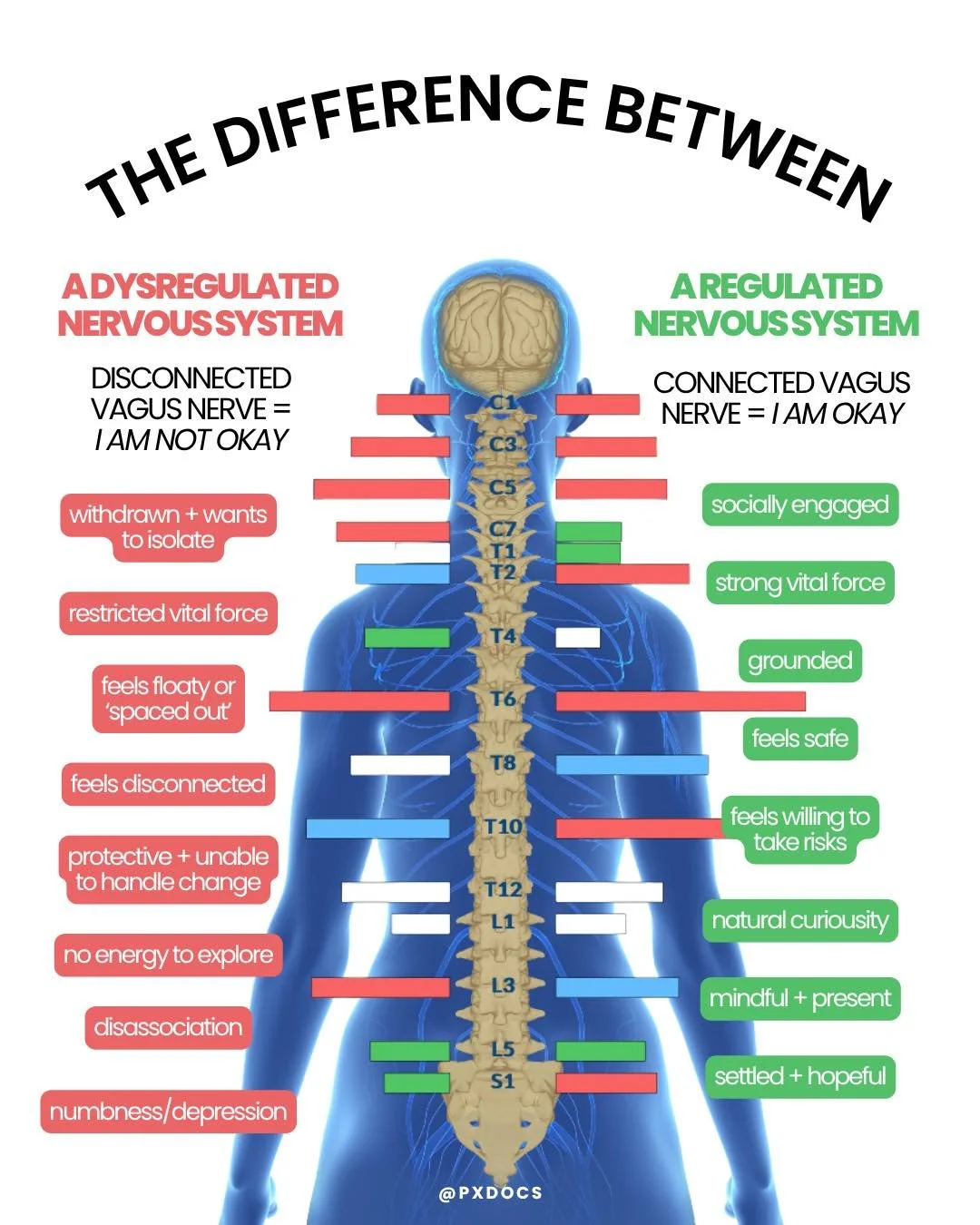 The difference between a regulated and dysregulated nervous system is literally EVERYTHING!!

What if you are noticing signs of dysregulation in your child? From wired and exhausted. Or shut down and hard to reach. 😣

This points to a nervous system