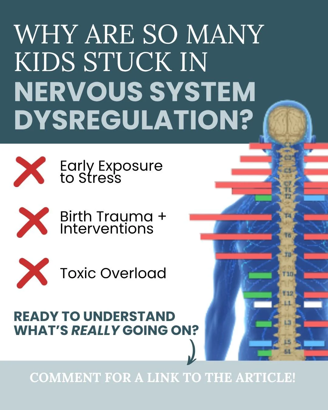 When we understand 𝐰𝐡𝐲 the nervous system is struggling, we can support it at the foundation instead of just chasing symptoms. Neurologically-Focused Chiropractic Care is designed to address these layers and help the nervous system regulate itself