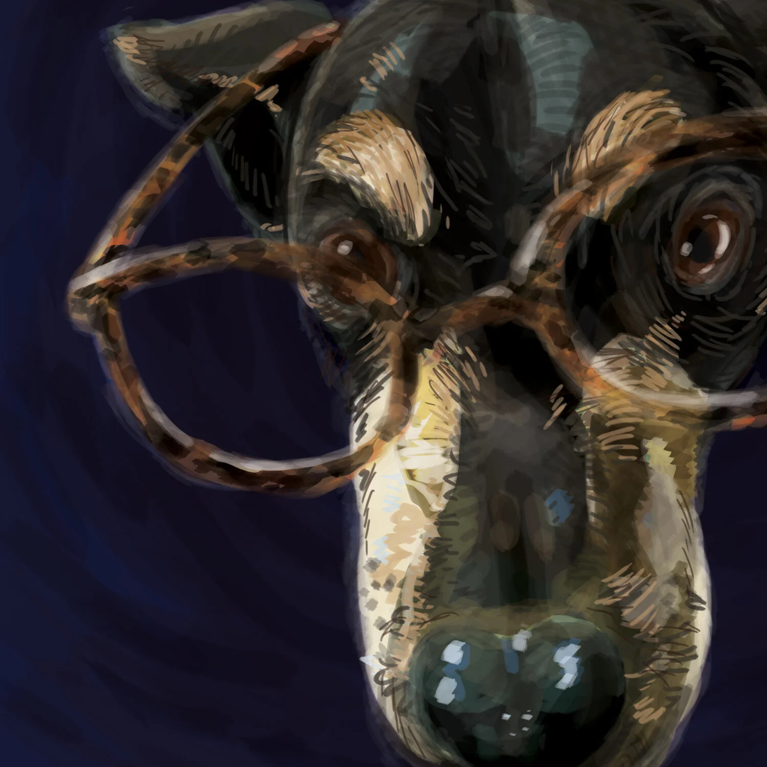 Animals-Bob_Portrait_v2.jpg