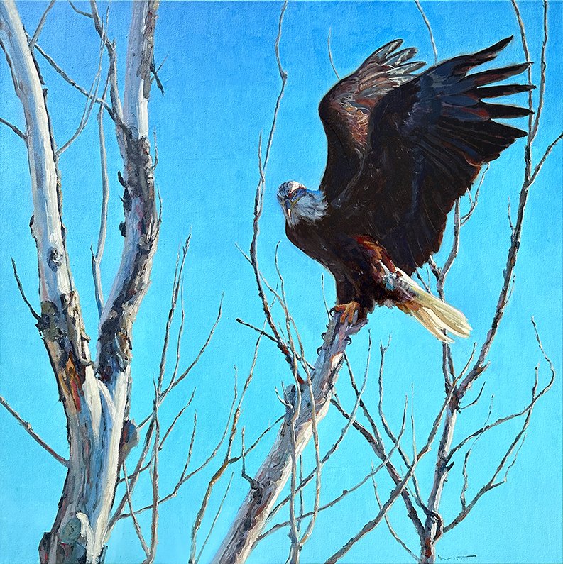 The Hunter, oil on Canvas, 30" x 30"