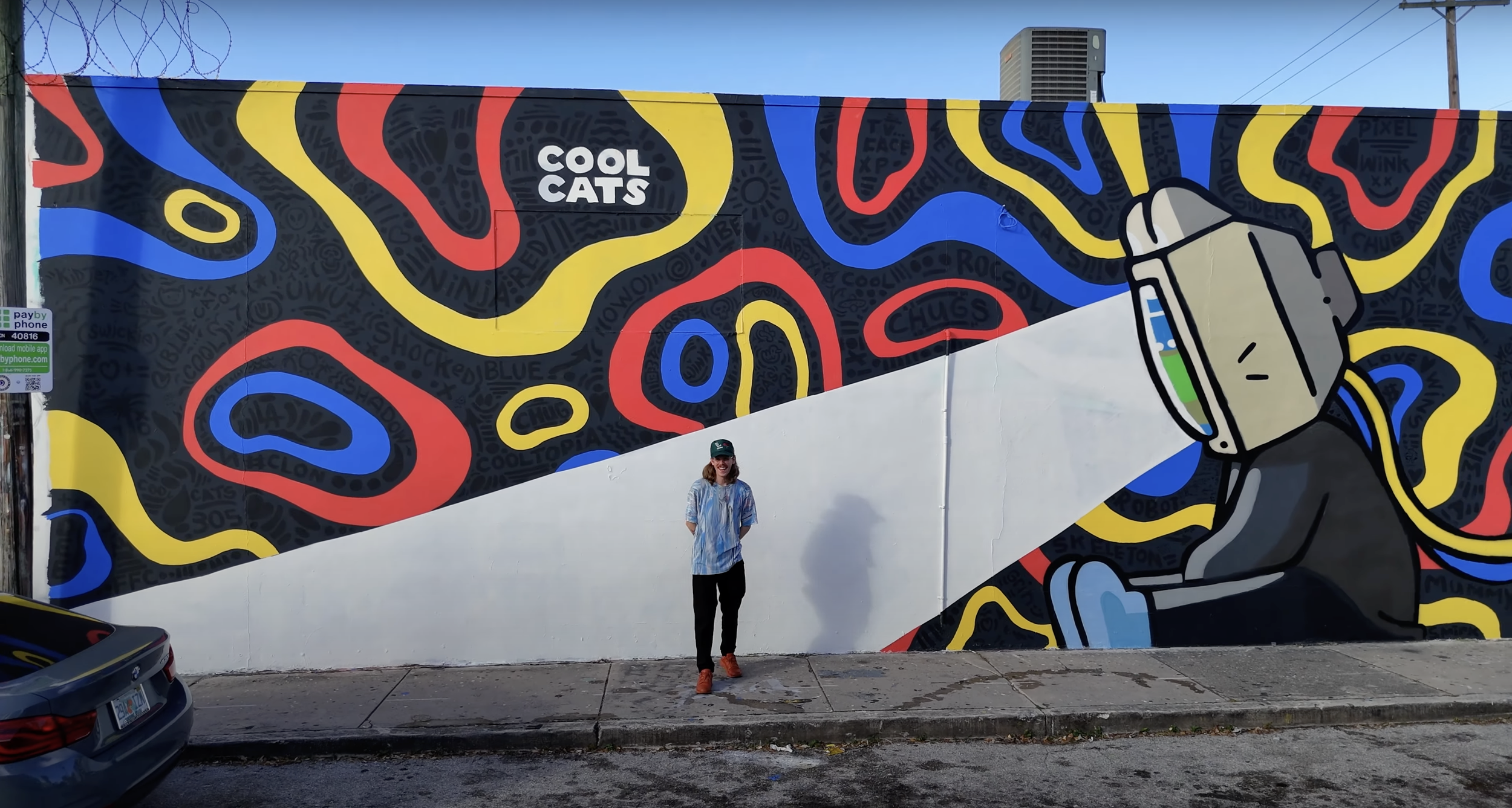 cool cats mural 1.webp