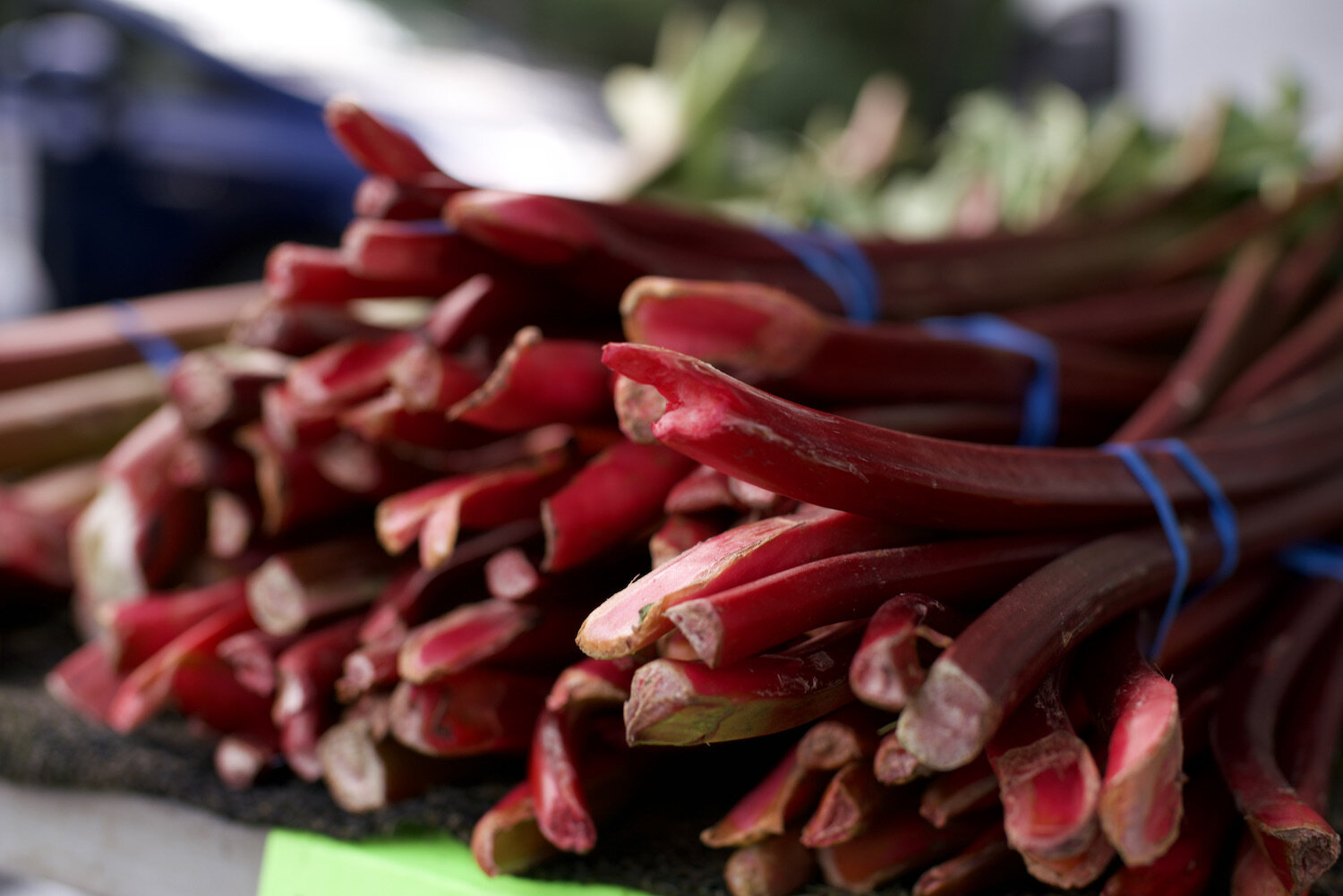 CGUCC Farmer's Market