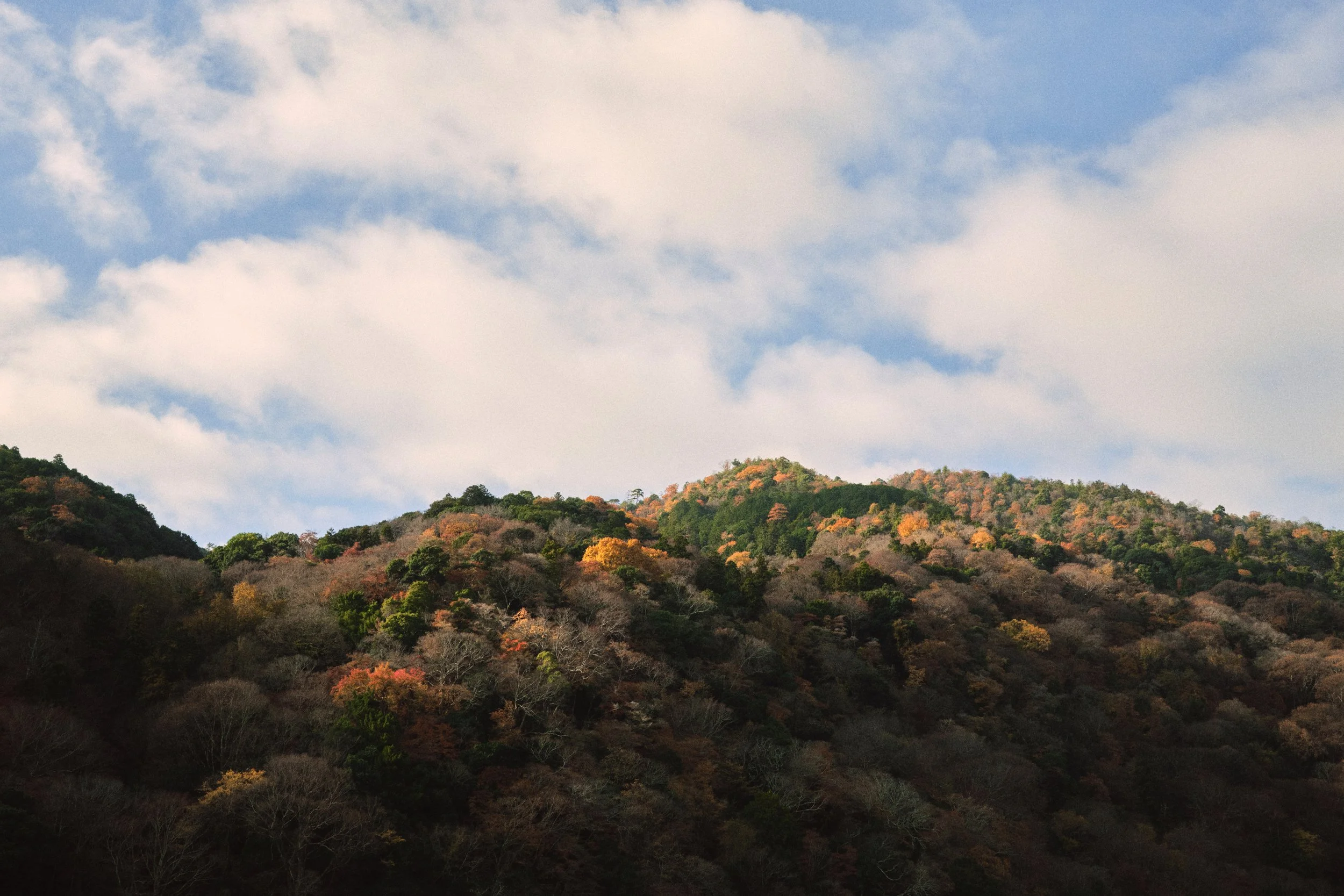 Japan04-12-25 3.JPEG