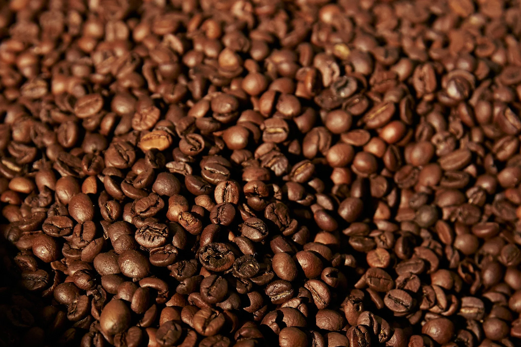 @aaronhilborn_ 17-11-25 - WH 4.jpg