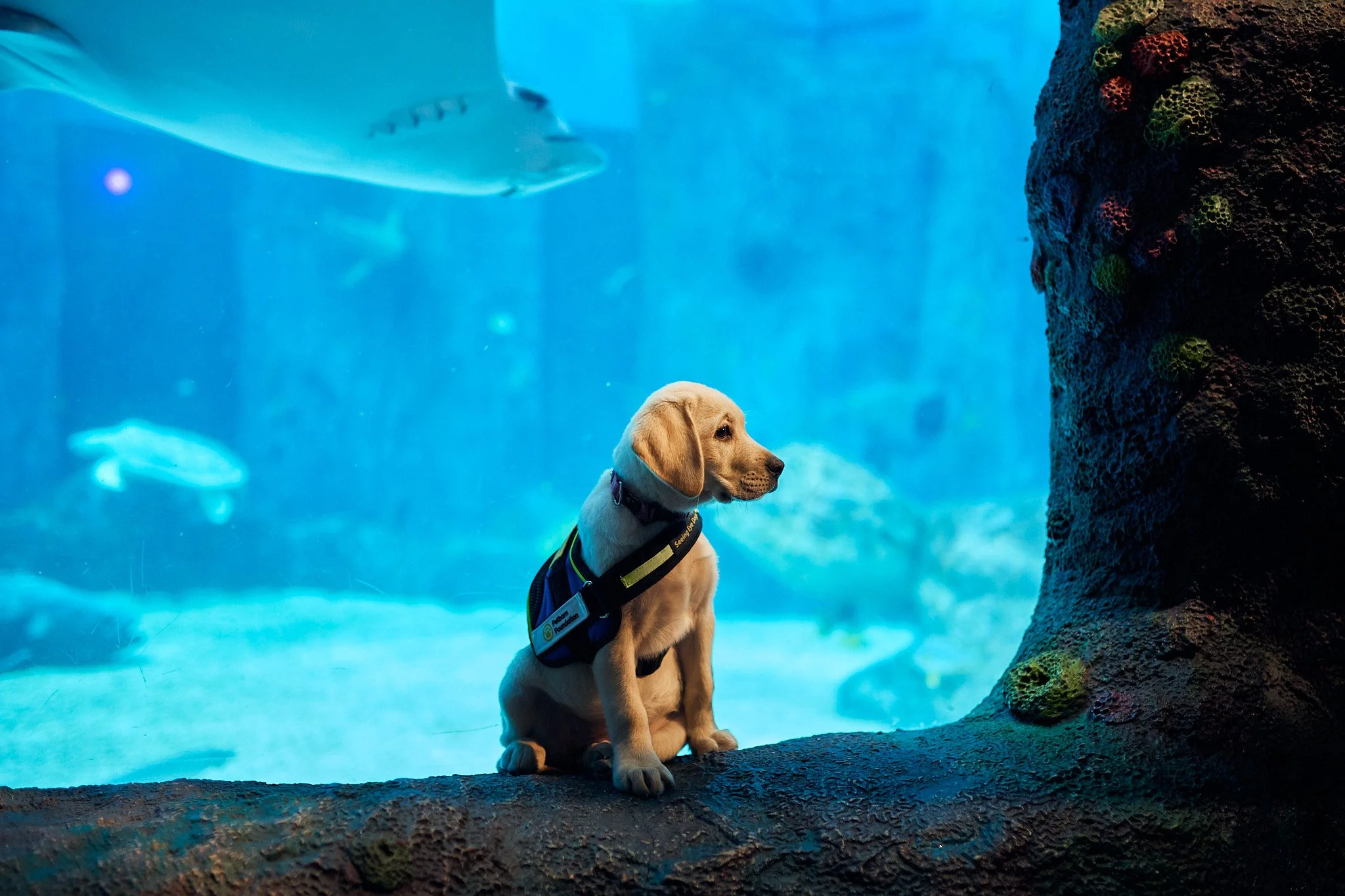 @aaronhilborn_ 08-07-25 - Web 1.jpg