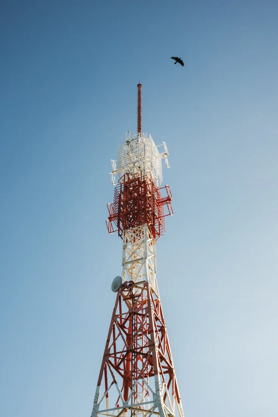 July 28, 2024-_DSF5731.JPG