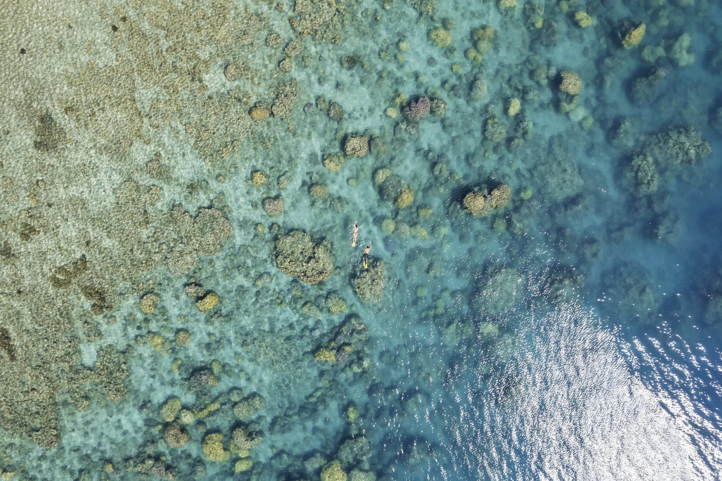 October29,2024-DJI_0287.jpg