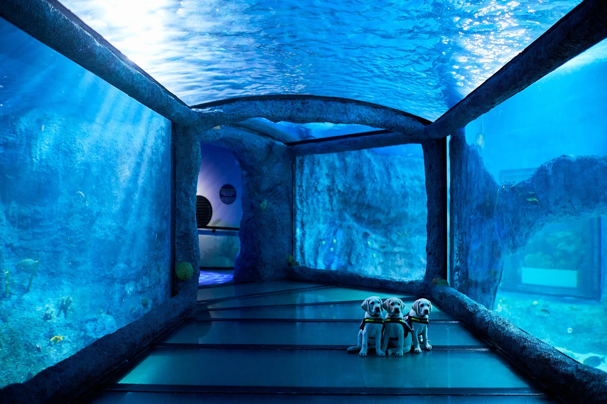 @aaronhilborn_ 08-07-25 - Web 3.jpg