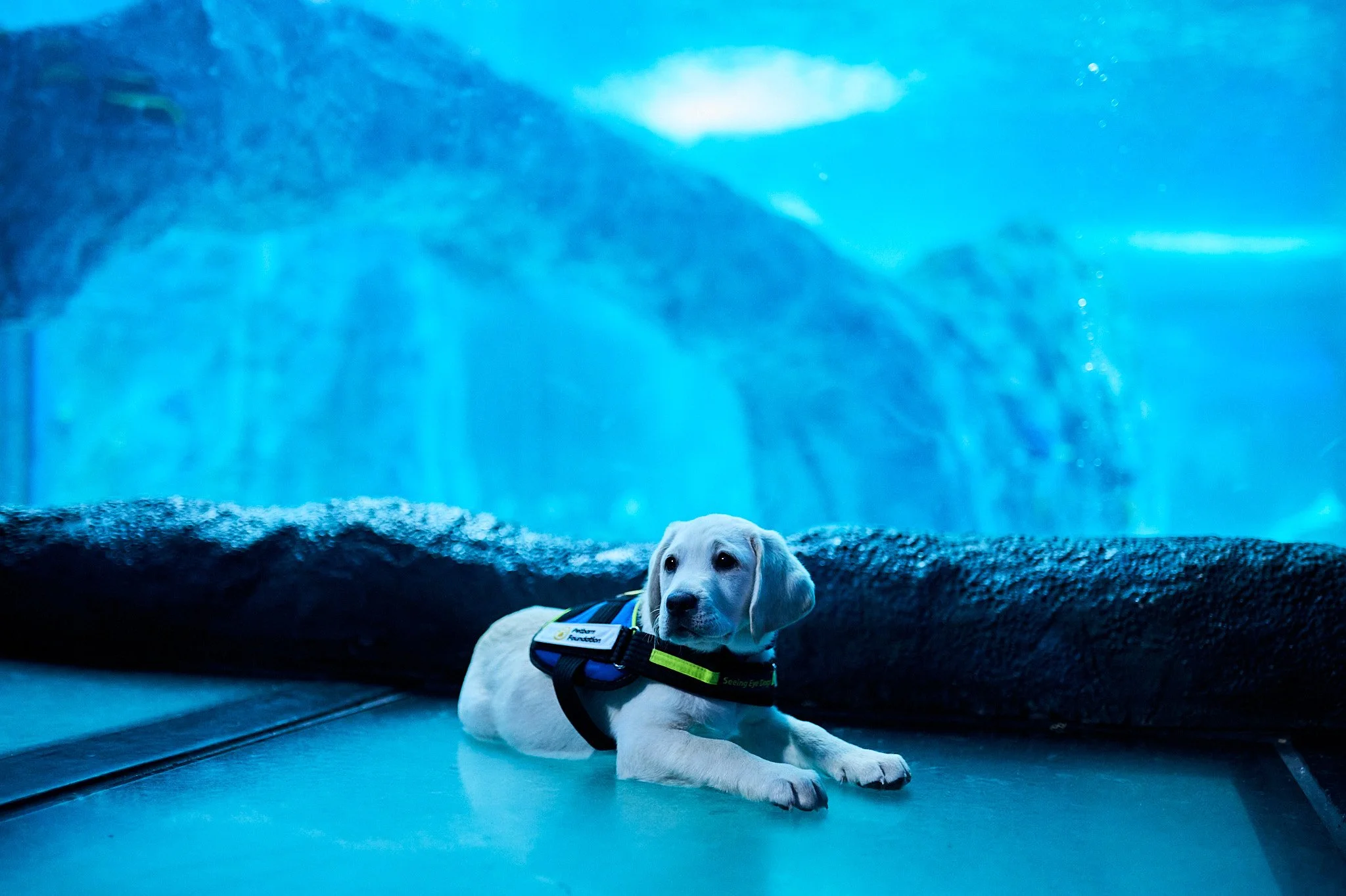 @aaronhilborn_ 08-07-25 - Web 2.jpg