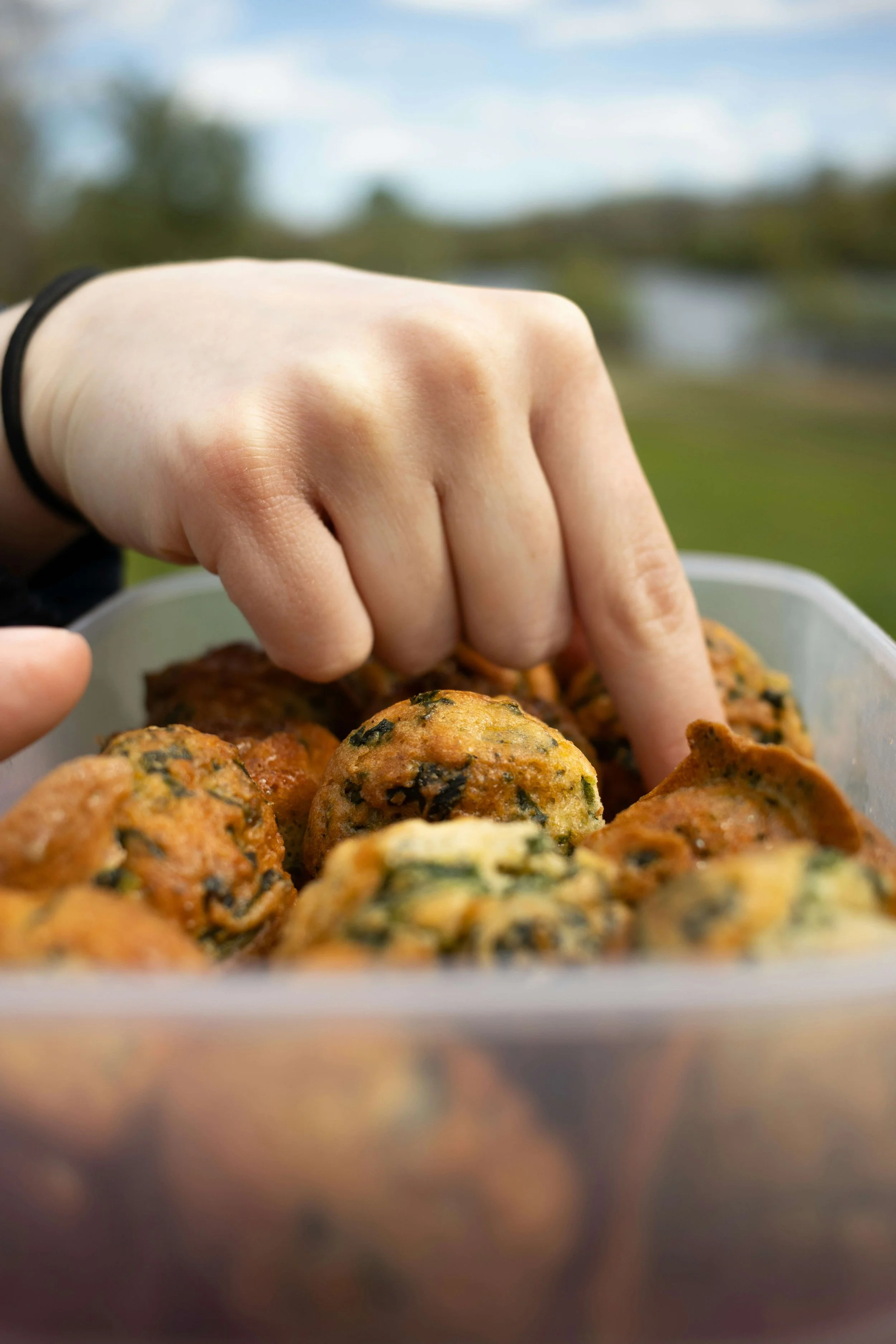 Savoury Muffins
