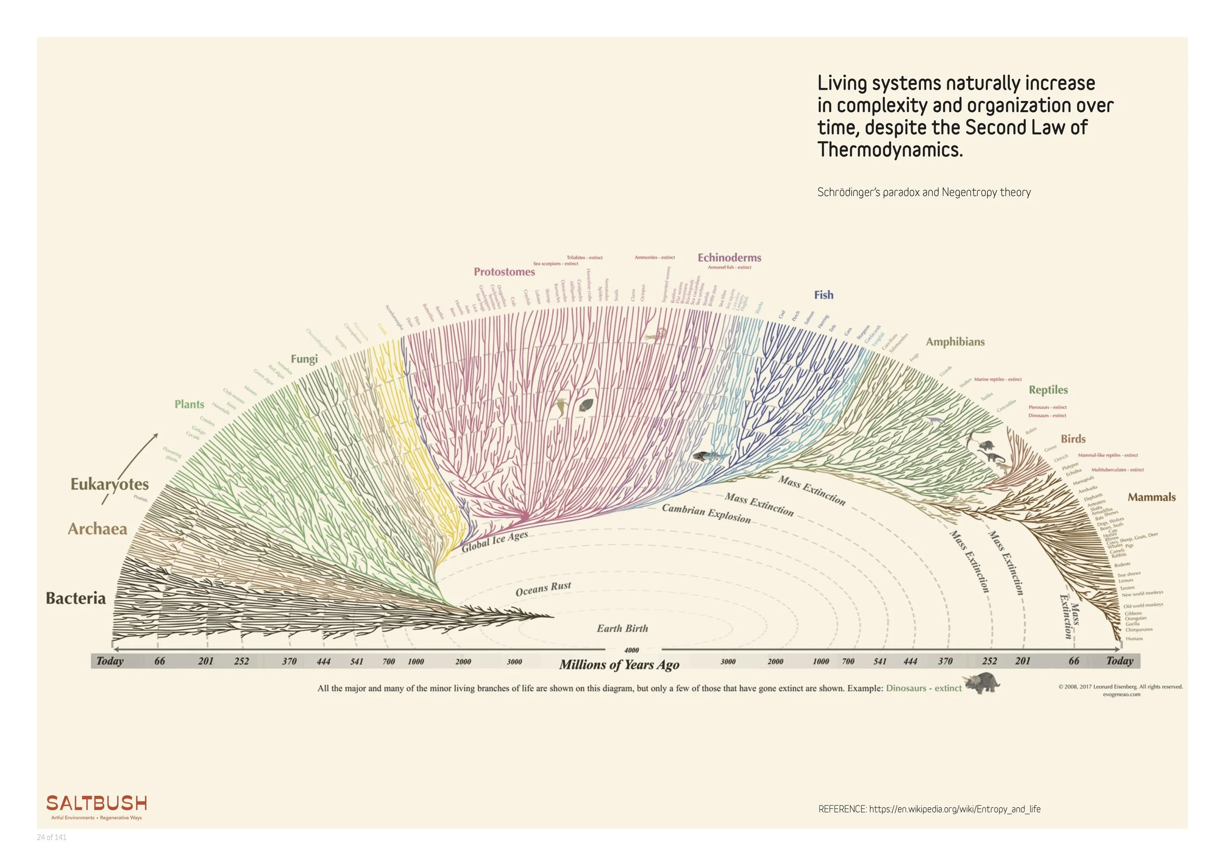 Regenerative Design for Architects