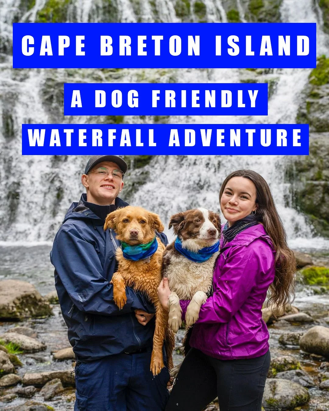 Exploring Cape Breton Island: A Dog-Friendly Waterfall Adventure
