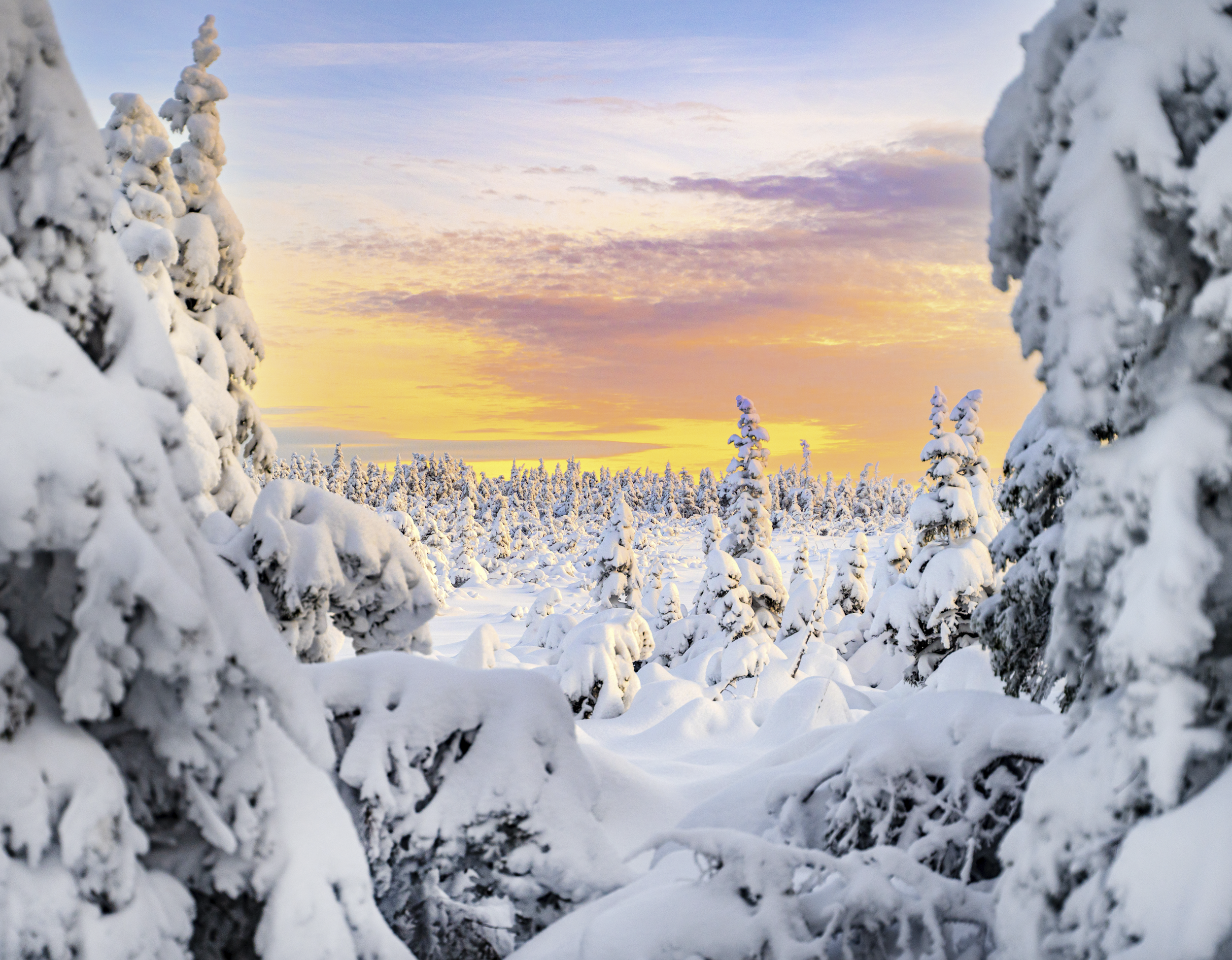 Screenshot 2025-12-17 081118.png