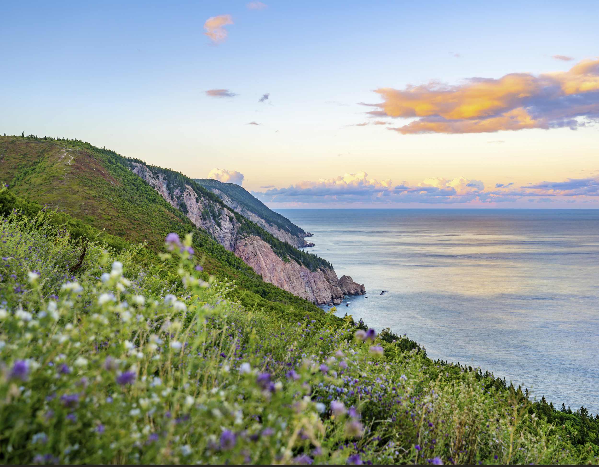 Screenshot 2025-12-17 081140.png