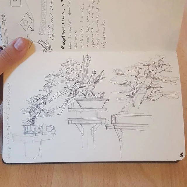 I leave for Japan tomorrow! I'll be fostering my long-term love of bonsai by visiting nurseries and collections of masters while studying the intersection of bonsai display and visual merchandising. I'm very excited, and very, very scared.
I'm deeply