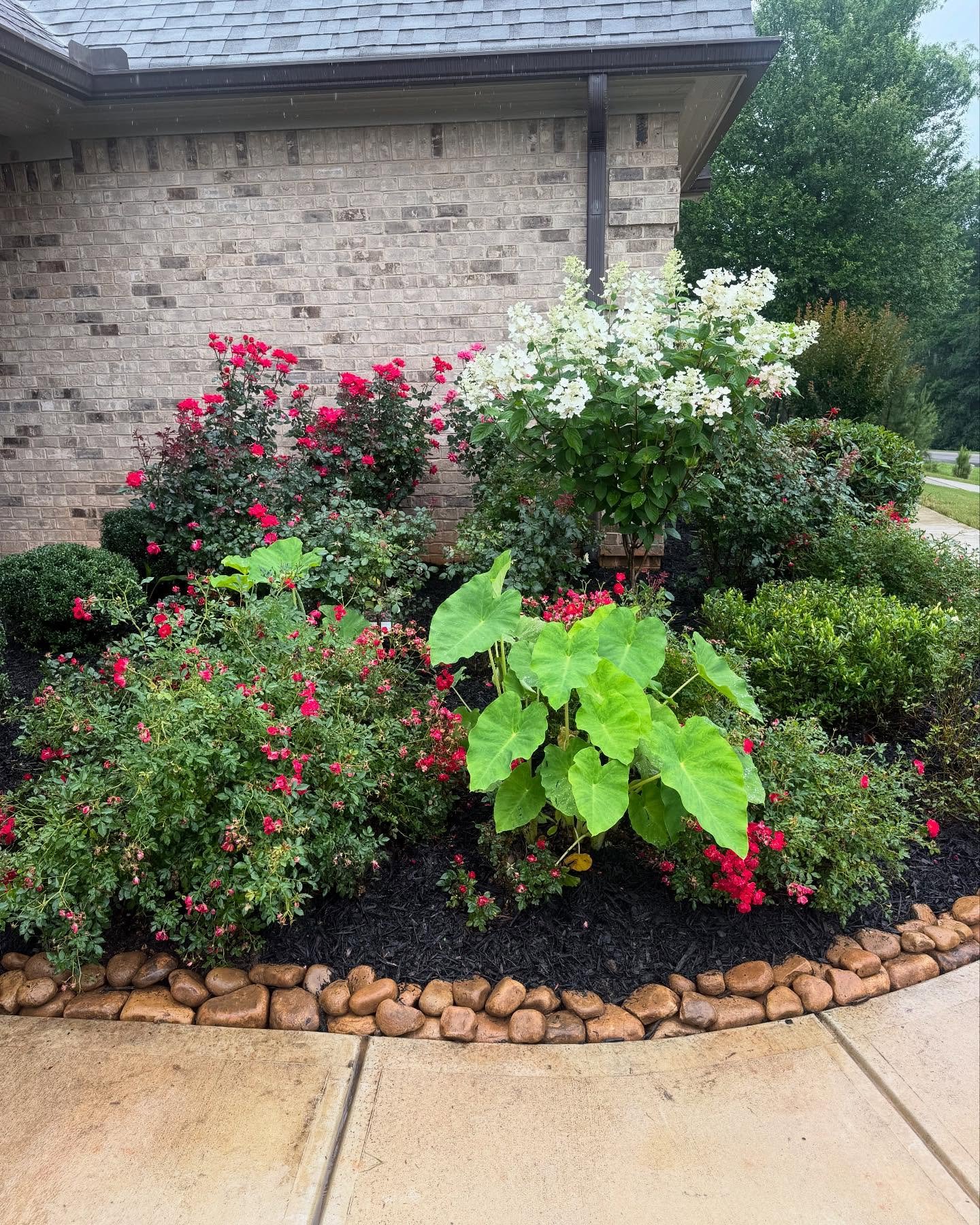 Glistening rocks, fresh mulch and beautiful greenery: the landscaping equivalent of an ice cream paint job 😎