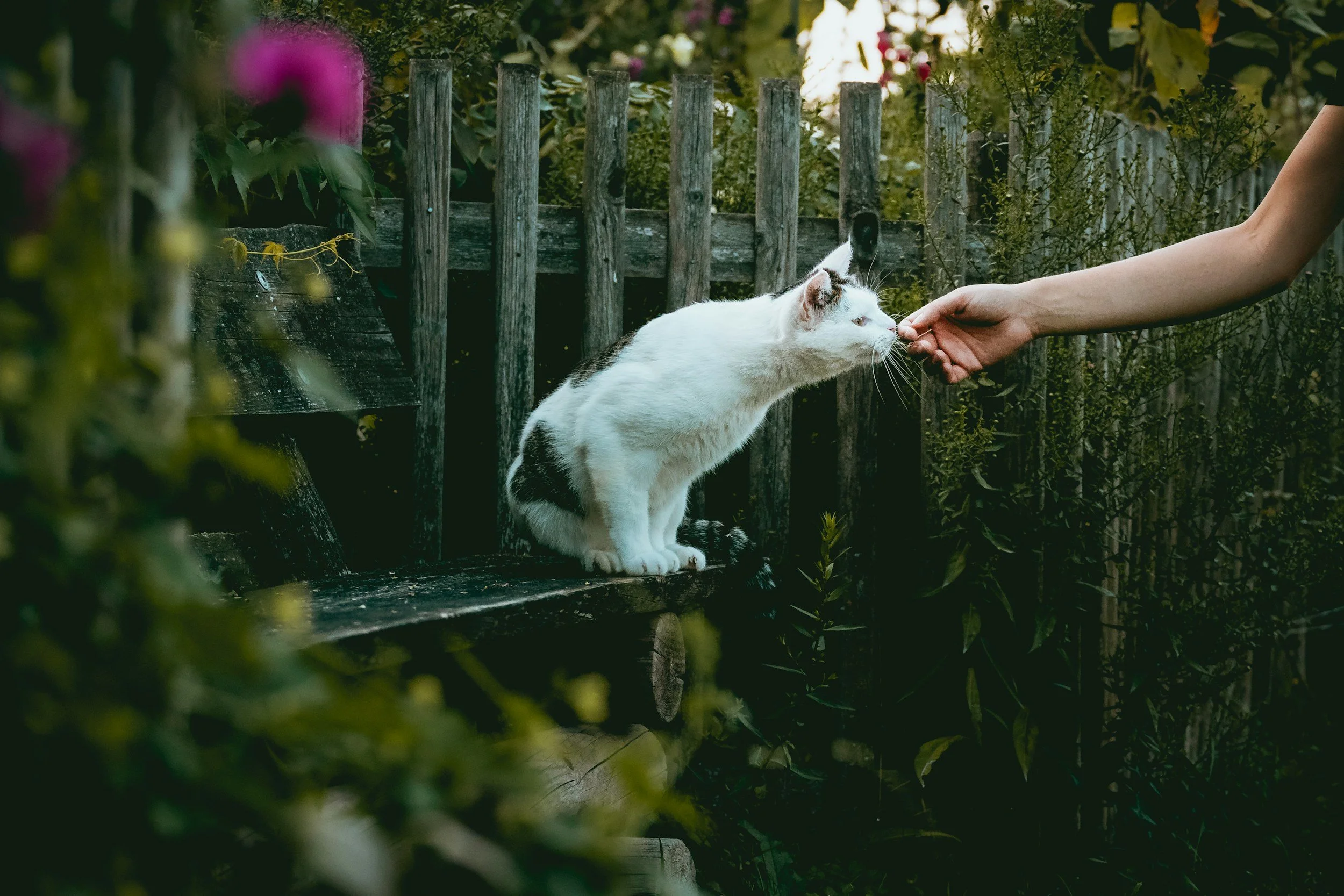 unsplash-image-ept1F4utj38.jpg