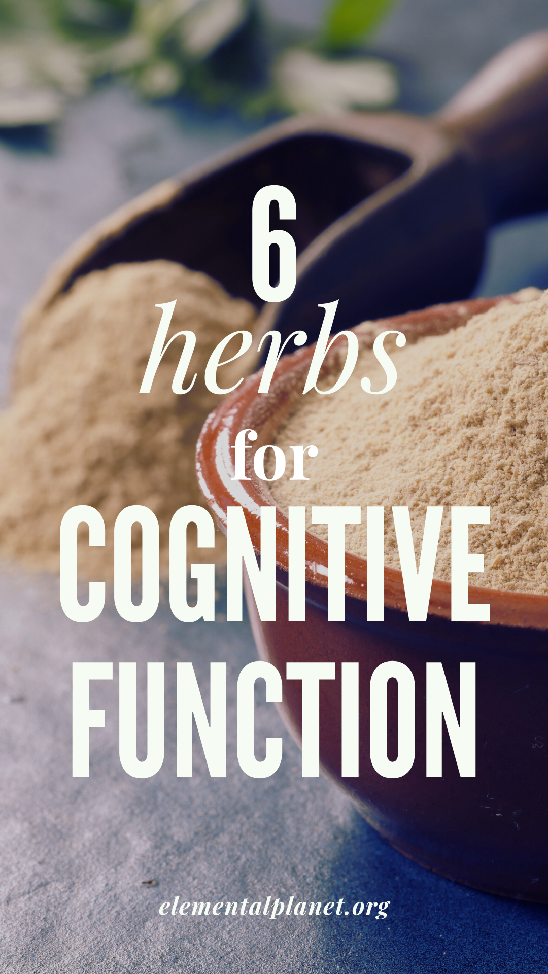 6 Herbs to Support Cognitive Function