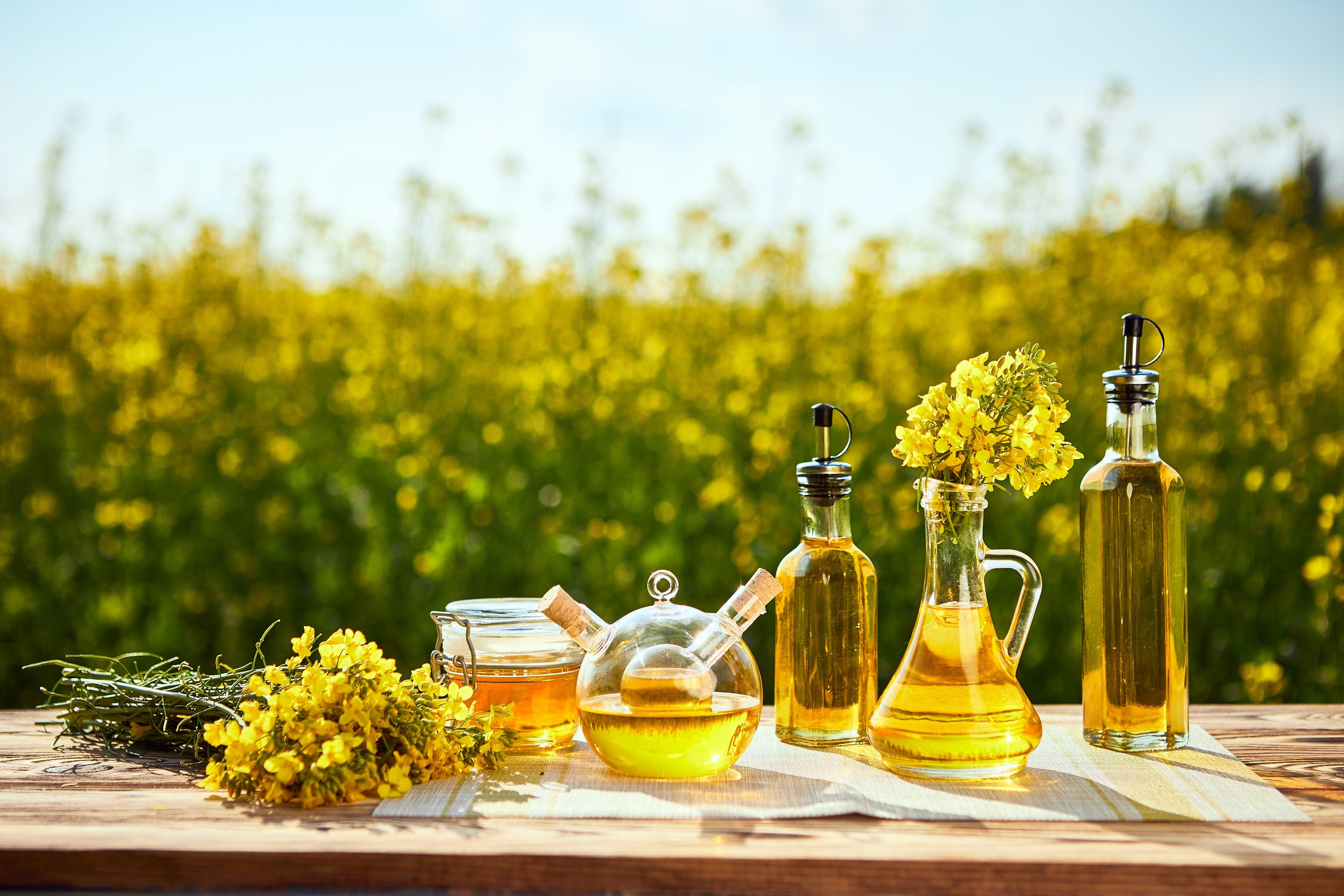 Plant Sterols: Cholesterol-Lowering Powerhouses