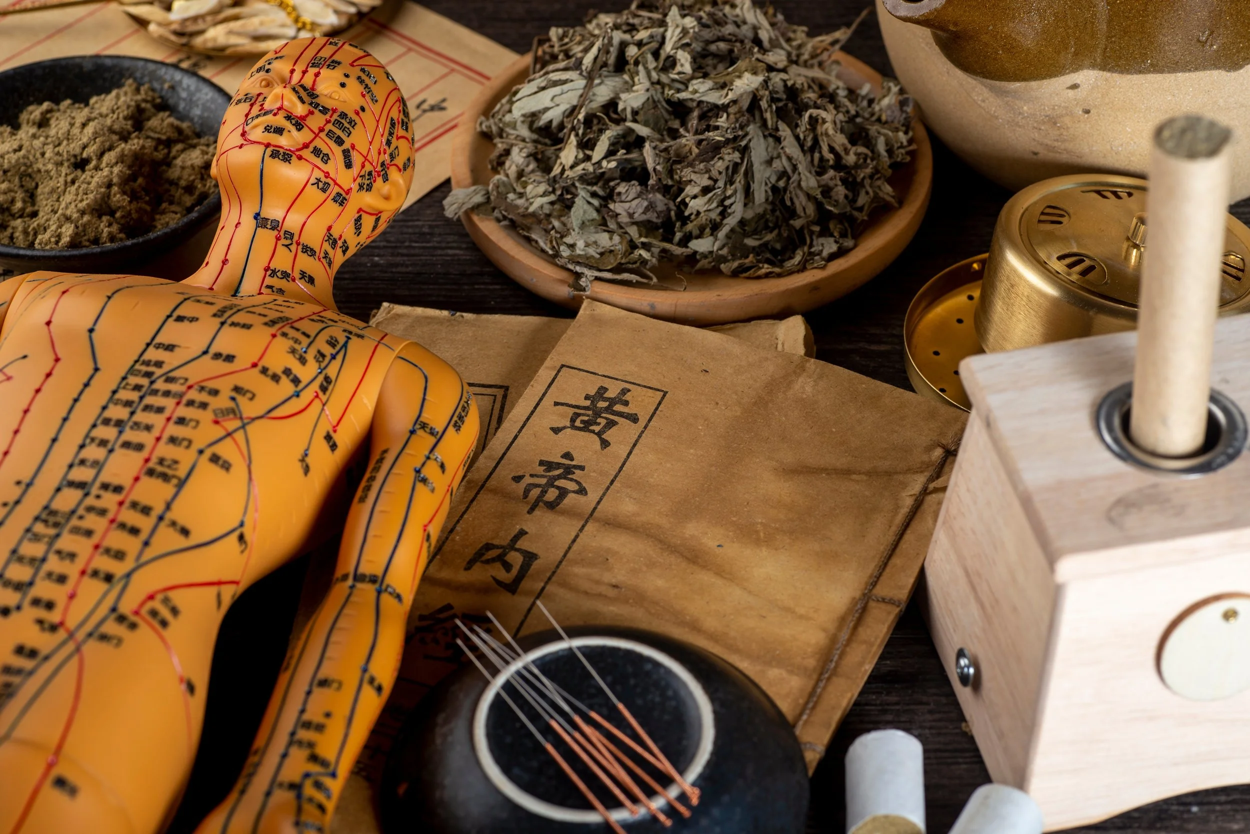 The Peripheral Nervous System: Anatomy, Imbalance and Herbal Resilience