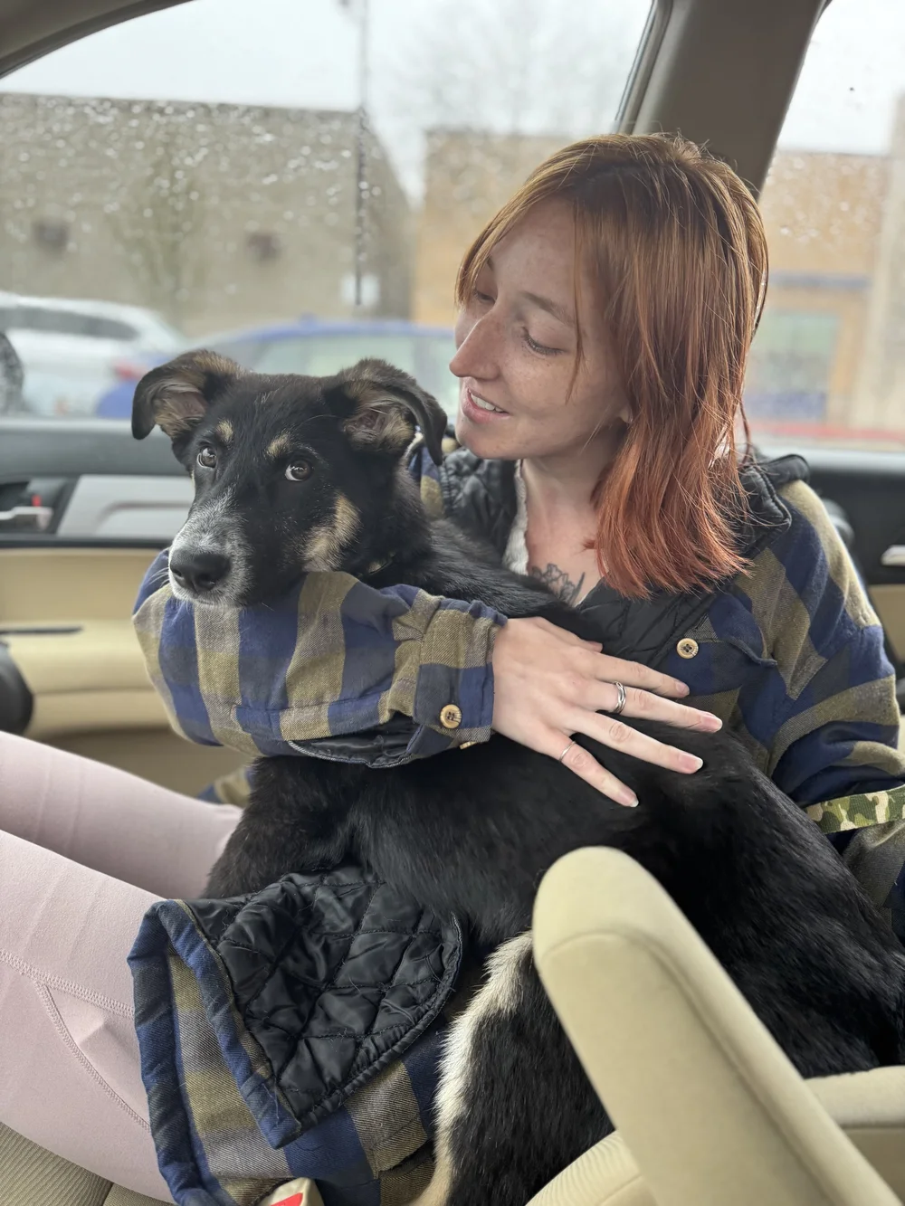 Embracing Divine Alignment Through Unconditional Love: Adopting my ...