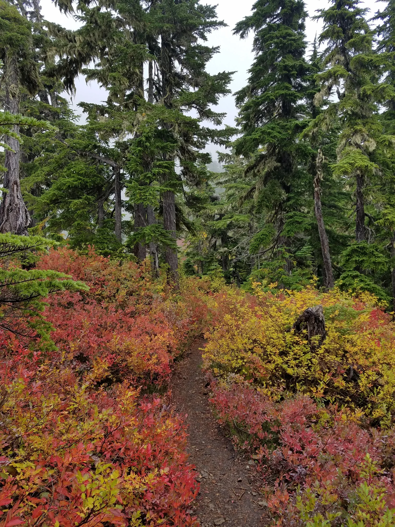 The Elemental Energy of the Seasons and How to Honor Each Season ...