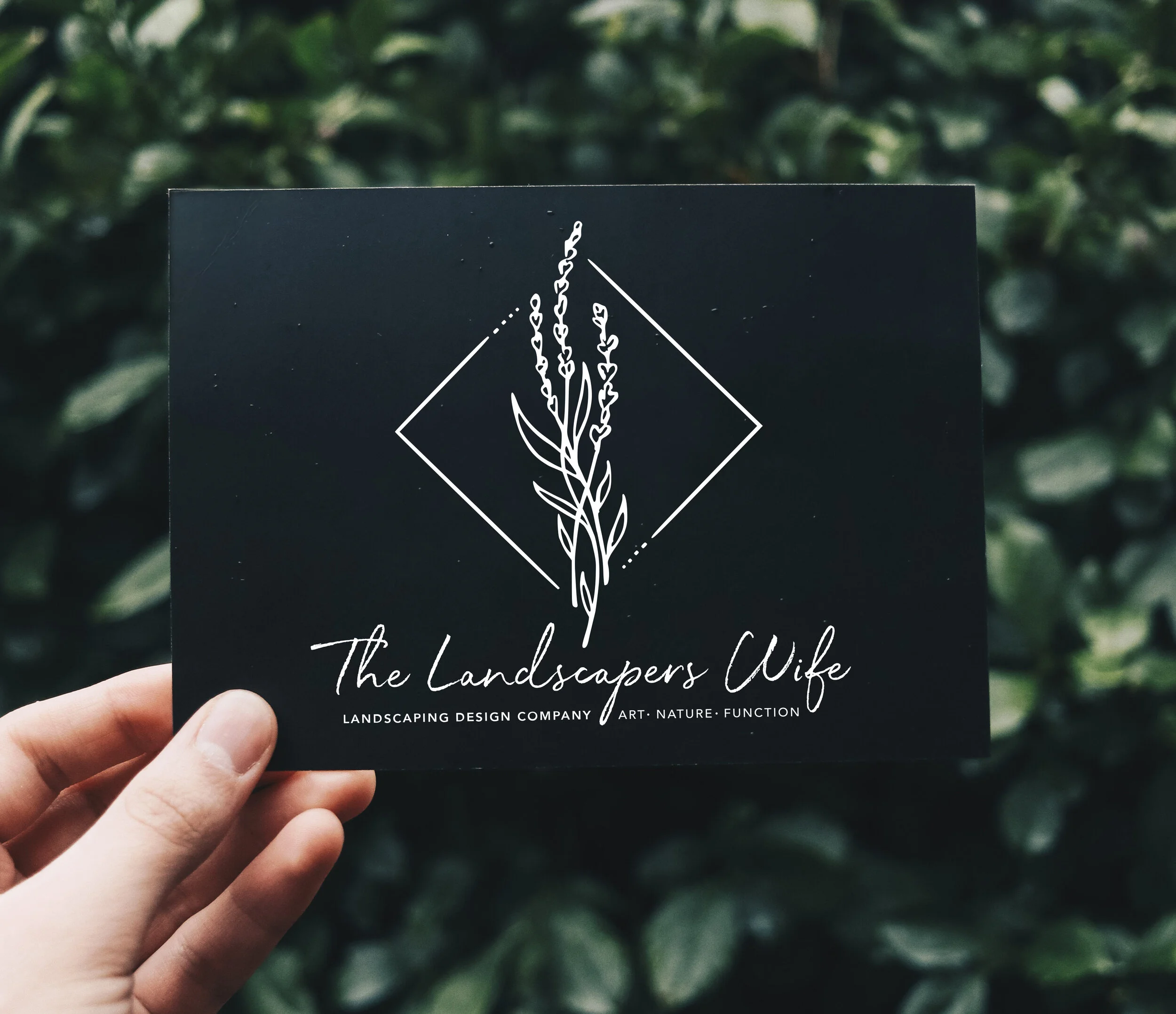 TWL-card2.jpg