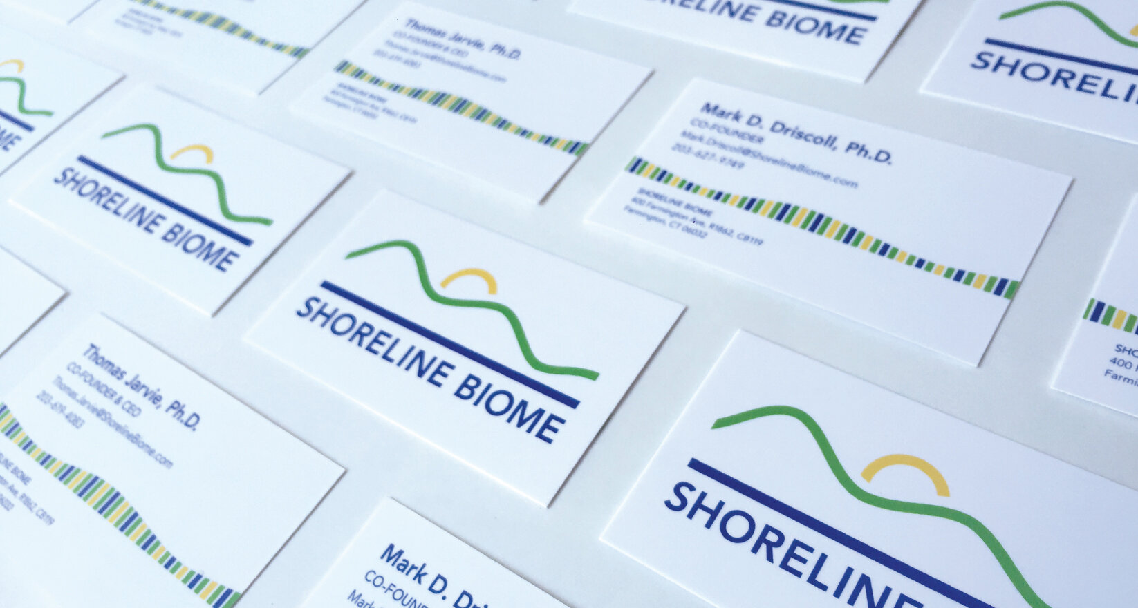 shoreline-cover.jpg
