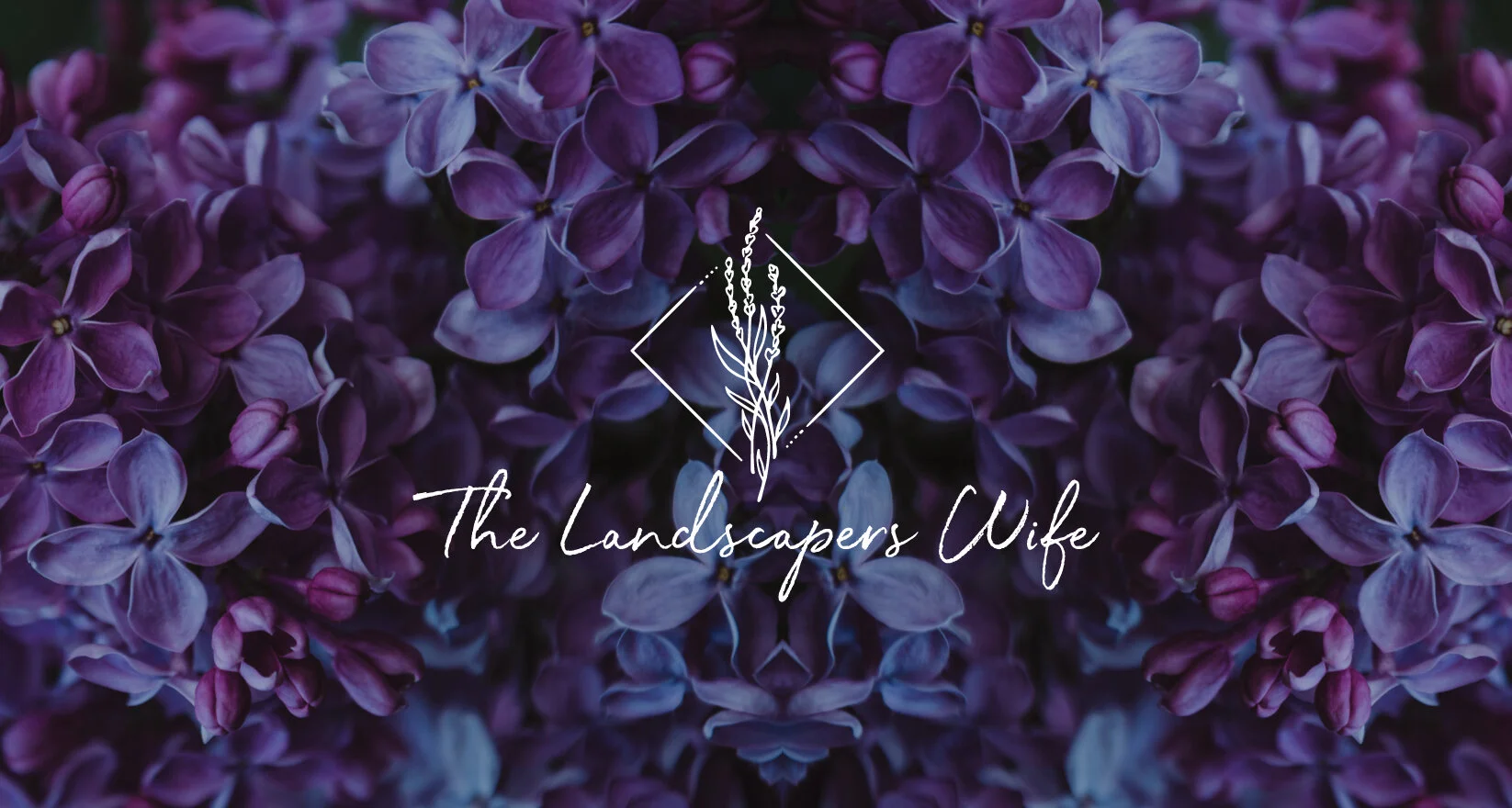 tlw-cover-image.jpg