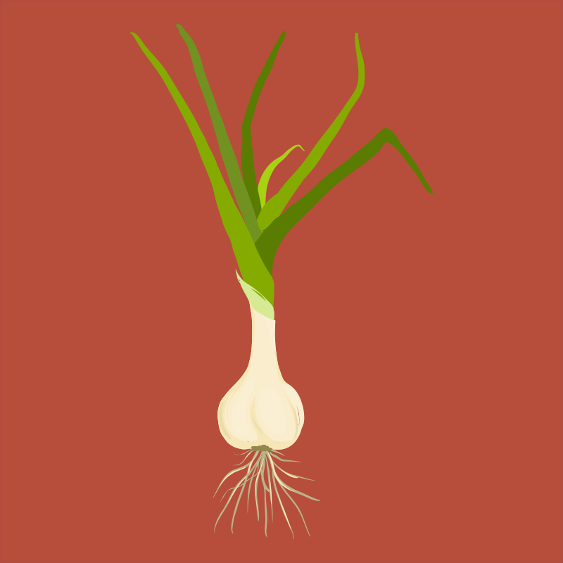 garden.png