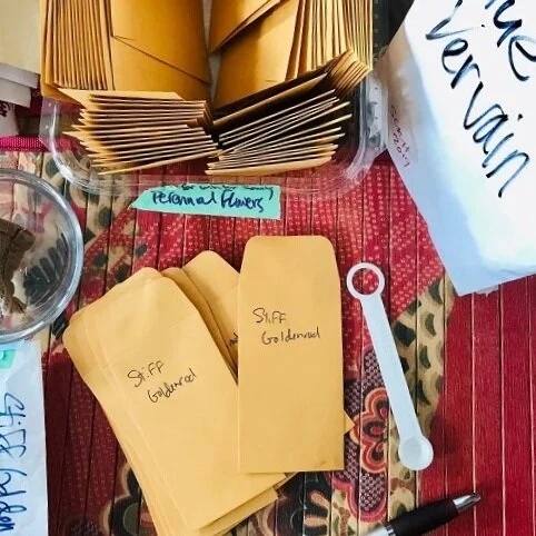 Welcome to #OutPlantTheOutbreak + How to get your seeds