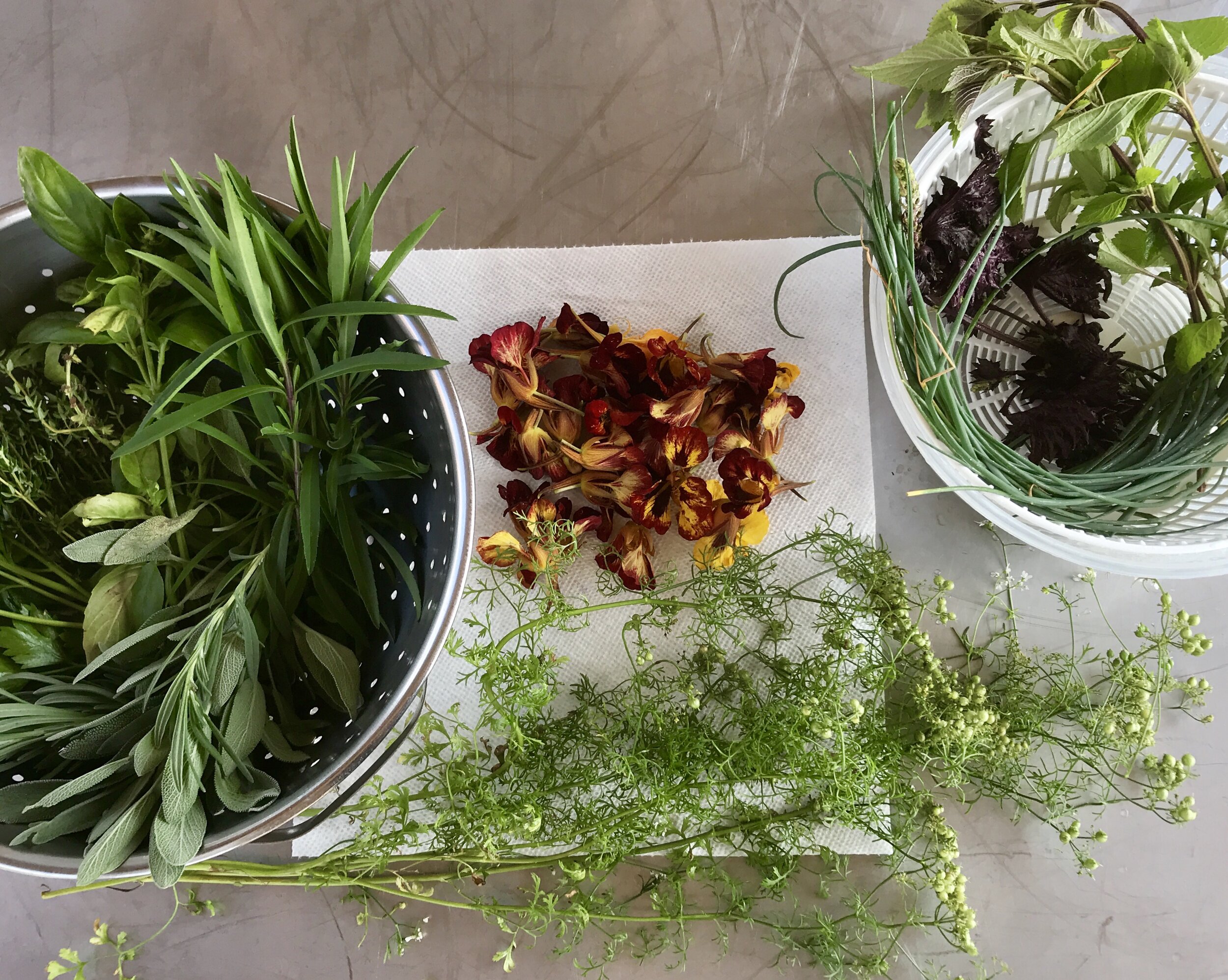 Fresh herbs for cooking
