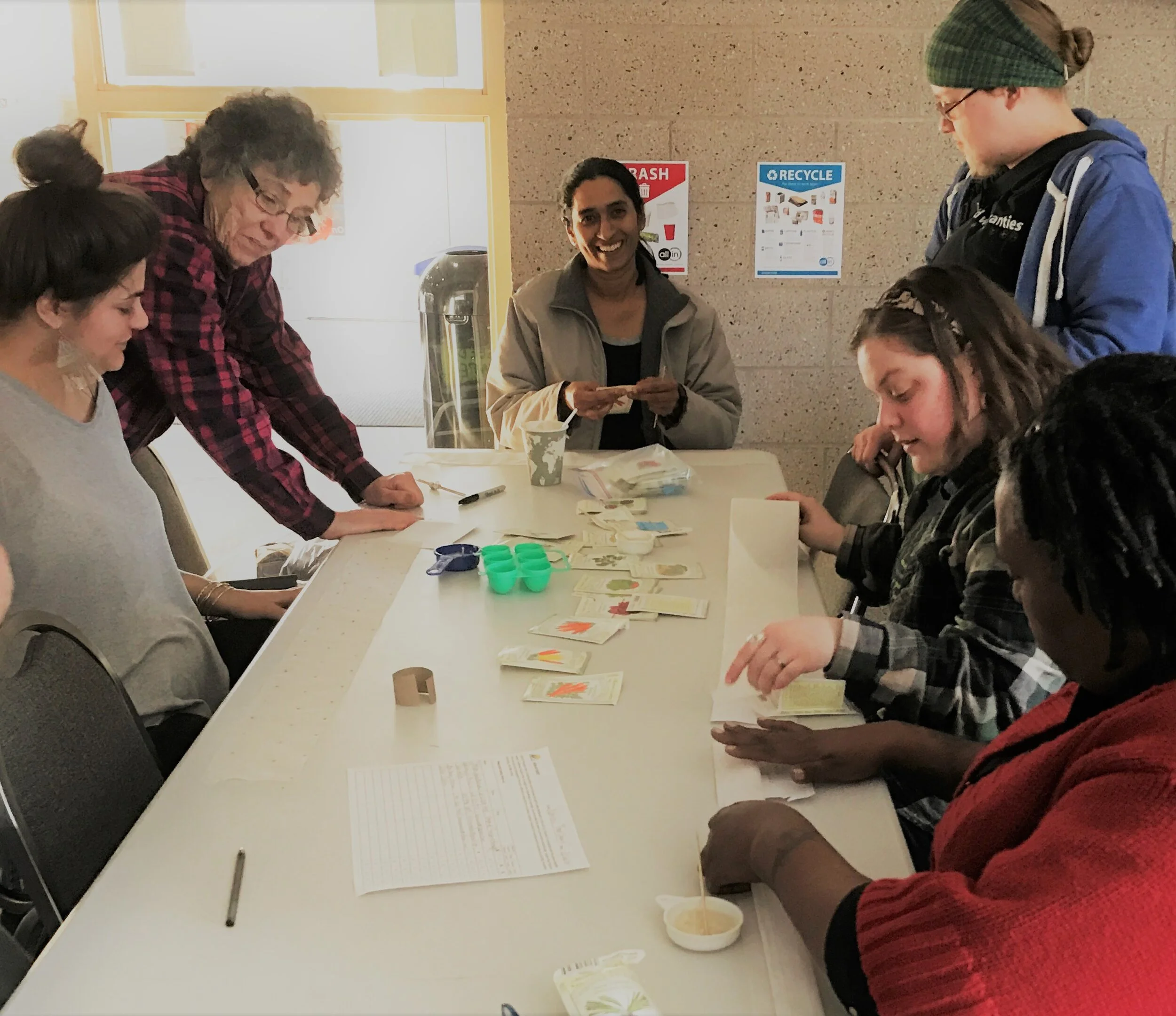 seed tape group (2).JPG