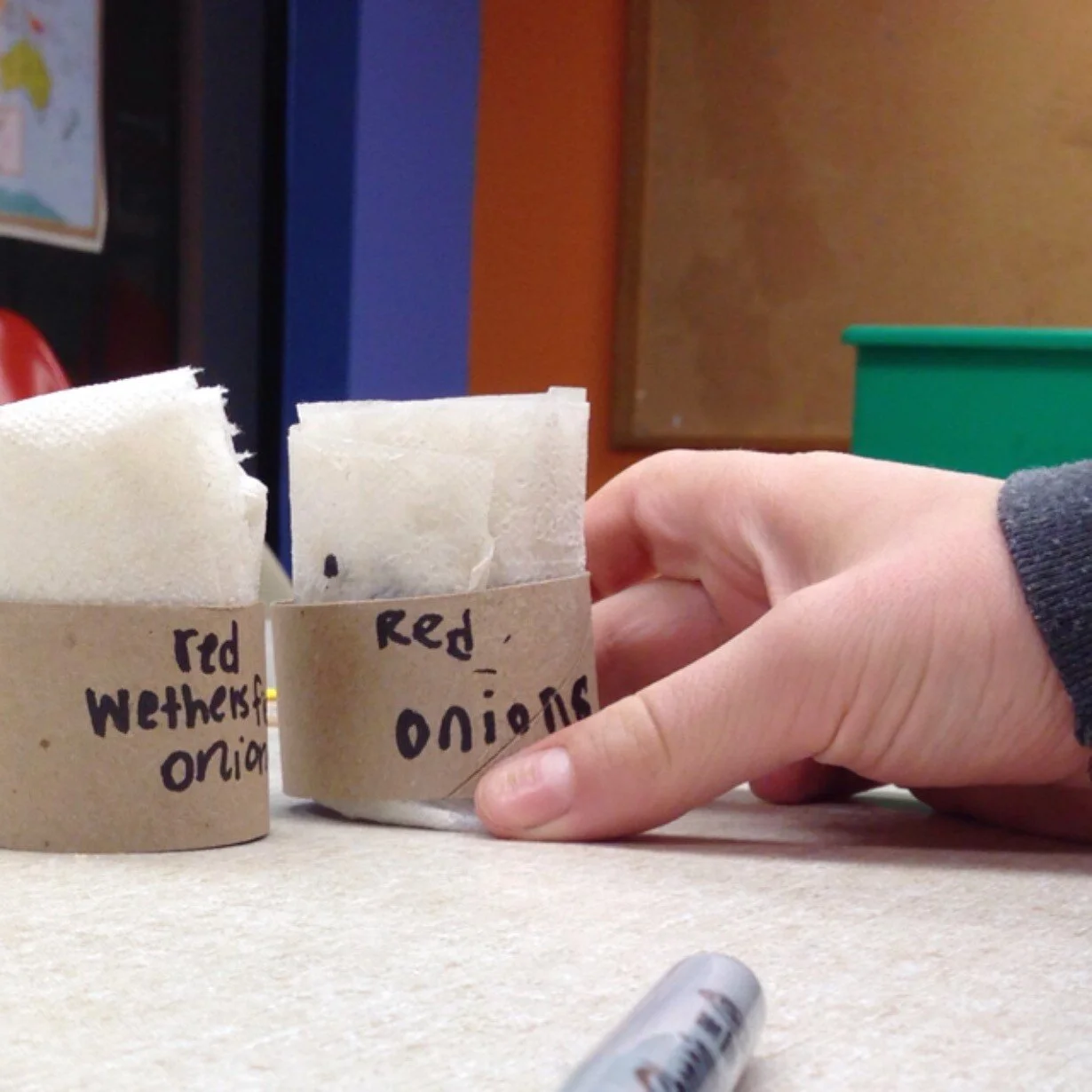 Got snow?  Make seed tape!