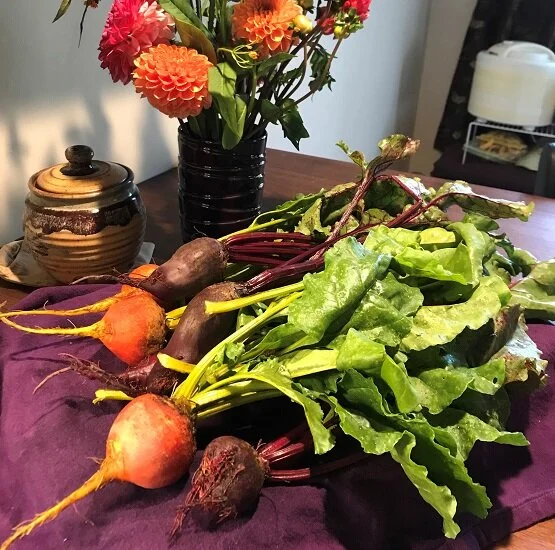 Ready for roots?  Crops for direct seeding in May