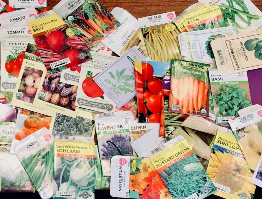 Recap of #outplanttheoutbreak 2020 seed distribution