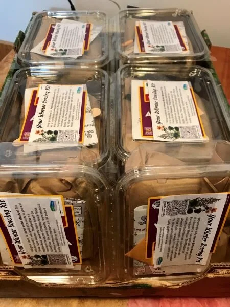 WSkit for web 3.jpeg