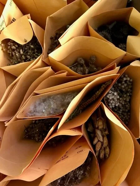 WSkit for web 5.jpeg