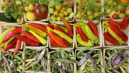 Abundance: Simple seed saving for you and your community