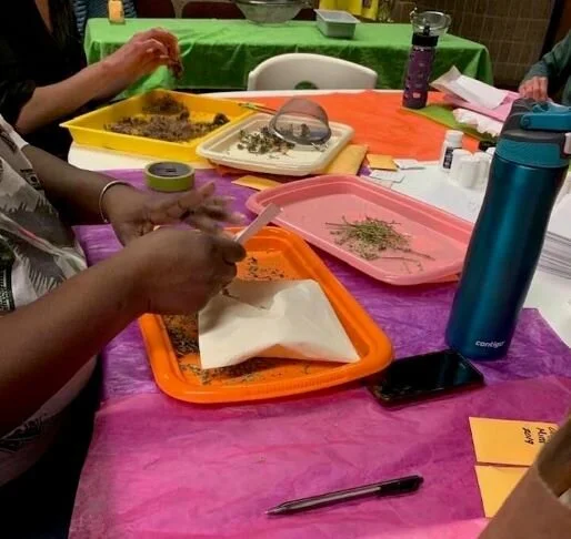 Cleaning seeds after the season