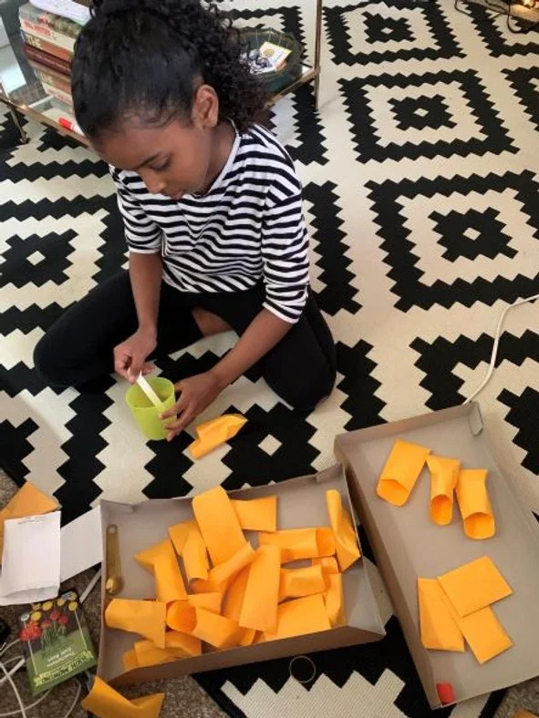 volunteer seed packing.JPEG