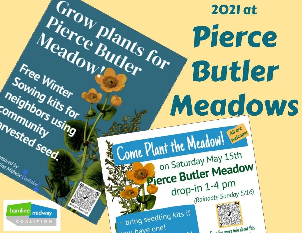 PB Meadows - 2021 Rundown of seed starting kits, seeds &amp; self-sufficiency!