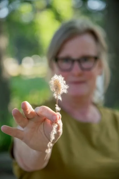 Seeds_Thimbleweed_Dawn Lamm-6099.jpeg.jpg