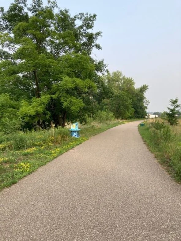 TroutBrook8071 for web.jpeg