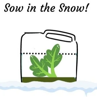 Seed starting kits available to grow native plants for Midway and Frogtown spaces
