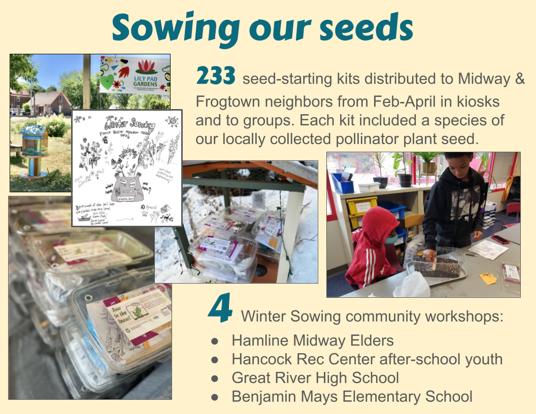 Sowing our seeds 