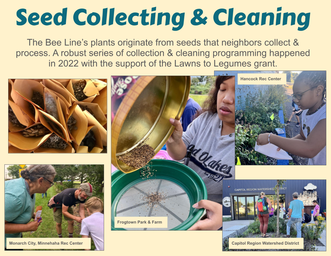 Seed Collecting &amp; Cleaning