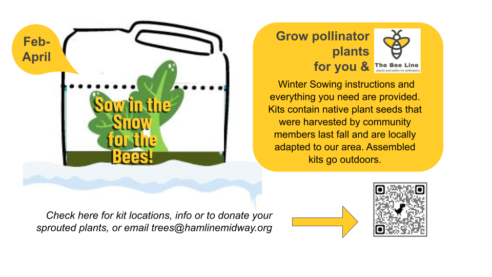 Sow some pollinator plants for The Bee Line!