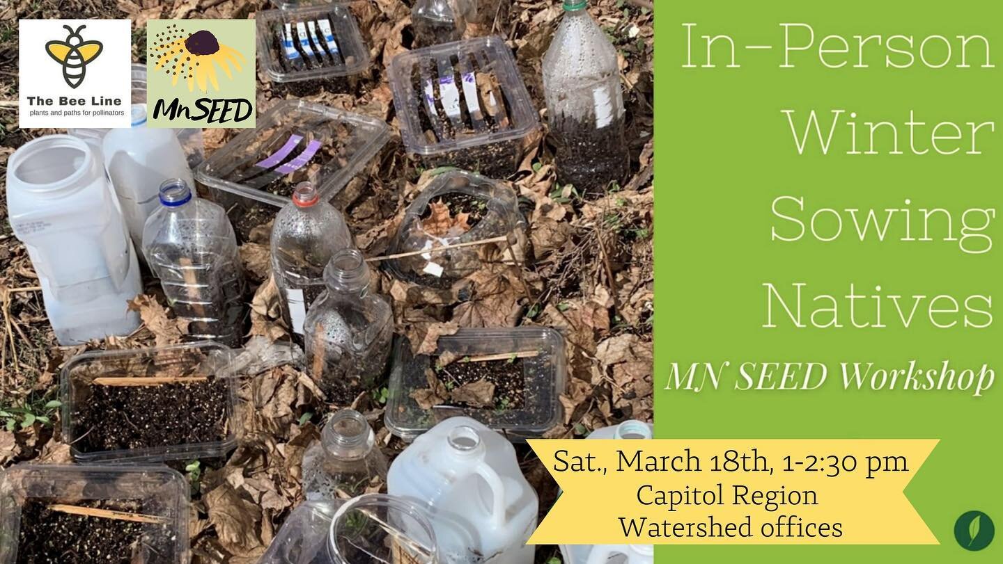 Sow together! In-person Winter Sowing of Native Plants with MN Seed &amp; The Bee Line
Saturday March 18th  2023

Time 1-2:30pm 

Capitol Region Watershed District Headquarters 

595 Aldine St. St. Paul, MN 55104

(Parking available on and off street